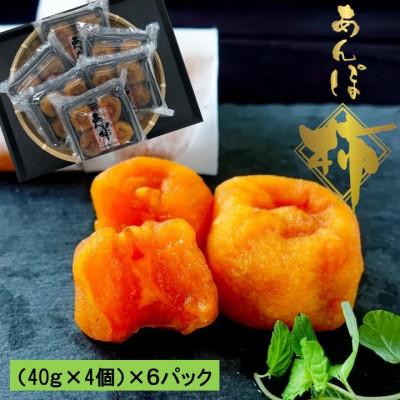 ふるさと納税 橋本市 あんぽ柿 (40g×4個)×6パック