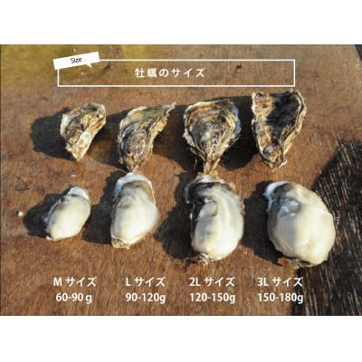 ふるさと納税 厚岸町 北海道厚岸町のブランド牡蠣「マルえもん」3Lサイズ20個(生食用)_1