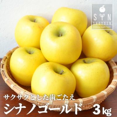 ふるさと納税 遠野市 りんご シナノゴールド 3kg 松陽園 樹上 完熟 農家直送 岩手県 遠野市 先行予約