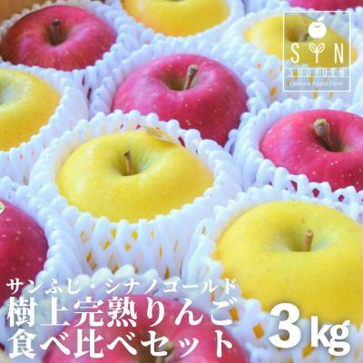ふるさと納税 遠野市 松陽園の樹上完熟 りんご 食べ比べセット サンふじ シナノゴールド 合計 3kg 農家直送 先行予約