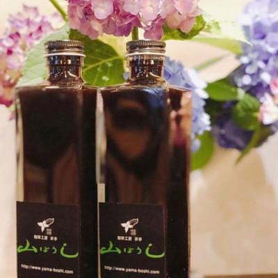 ふるさと納税 野田市 一滴入魂抽出法で淹れる濃縮珈琲ぎゅぎゅっとビン詰めクラフトボトルコーヒー2本セット