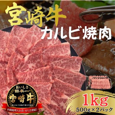 ふるさと納税 日南市 宮崎牛 4等級 〜 5等級 黒毛和牛 牛肉 カルビ 焼肉 バーベキュー 合計1kg(500g×2P)