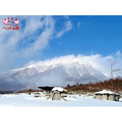 ふるさと納税 滝沢市 【ペットの里】の絶景パノラマ　大キャンプ場　利用券5，000円分 