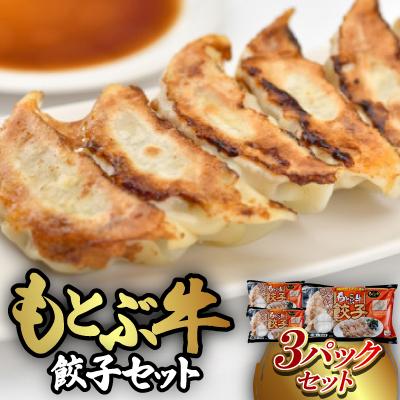 ふるさと納税 本部町 もとぶ牛餃子セット(12粒入りx3パック)