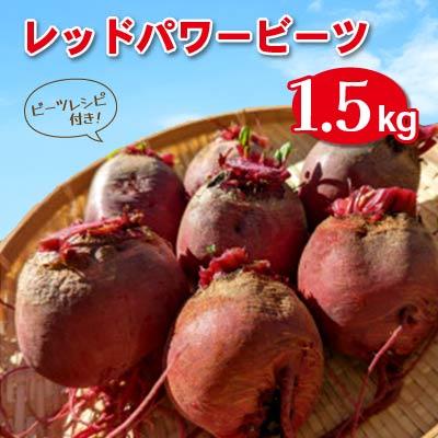 ふるさと納税 飯田市 レッドパワービーツ 1.5kg