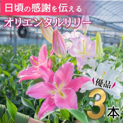 ふるさと納税 四万十町 日頃の感謝を「花束」に込めて[オリエンタルリリー優品3本]