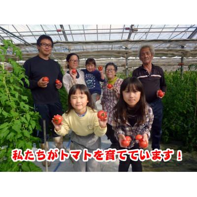 ふるさと納税 吉岡町 栗田温室農園の王様トマト(2kg箱)農林水産大臣賞受賞!_2