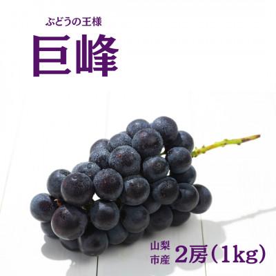 ふるさと納税 山梨市 [2026年先行受付]産地直送 山梨市産 巨峰2房