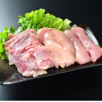 ふるさと納税 田原市 鶏三和の純鶏名古屋コーチン正肉お試しセット