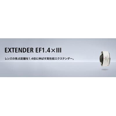 ふるさと納税 宇都宮市 キヤノン Canon エクステンダー EXTENDER EF1.4×III｜y-sf｜04