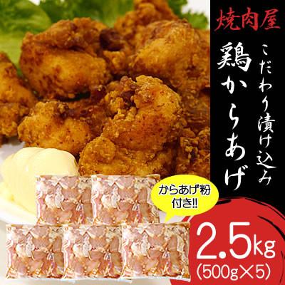 ふるさと納税 宮崎市 焼肉屋さんのこだわり漬け込み鶏からあげ 2.5kg