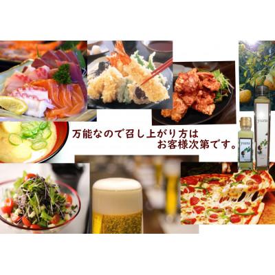 ふるさと納税 東洋町 ゆず果汁ロングボトル200ml×10本 