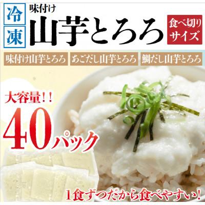 ふるさと納税 白石市 [ふるさと納税](株)カキヤの山芋とろろセット 宮城県内自社工場仕上げ