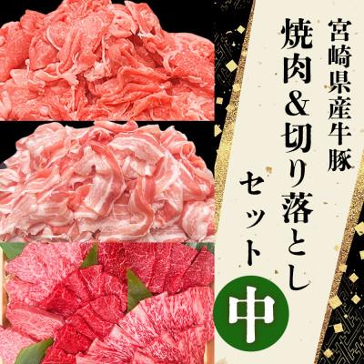 ふるさと納税 美郷町 宮崎の牛肉豚肉 焼肉・切り落としセット中 合計4.5kg