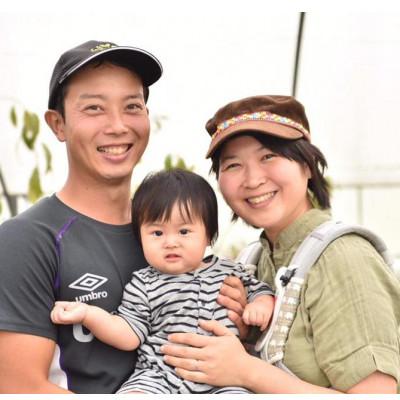 ふるさと納税 栗山町 【先行受付】【2026年10月より順次発送】玉ねぎ10kg以内(品種:オホーツク222)の画像