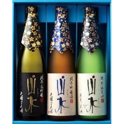 ふるさと納税 日田市 SJG老松山水 飲み比べ 3本セット 各720ml 日本酒