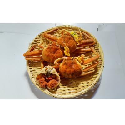 ふるさと納税 美浜町 [冷蔵でお届け]食べ切数量!全て地物!冬の味覚 旬のセイコガニ(3匹計330g)食べ方カラー説明書付
