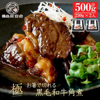ふるさと納税 松原市 国産黒毛和牛 角煮500g 250g×2 とろとろ煮込み お箸で切れる 湯煎調理 森田商店 大阪松原