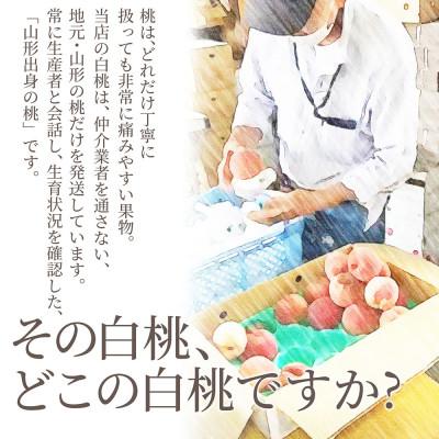 ふるさと納税 山形県 白桃 おどろき 3kg(5〜12玉前後) 大玉 ギフト用 山形県産 【令和8年産 先行受付】の画像