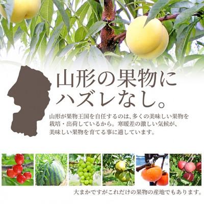 ふるさと納税 山形県 白桃\u0026黄桃 3kg(7〜13玉前後) ギフト用 品種おまかせ 山形県産 【令和8年産 先行受付】の画像
