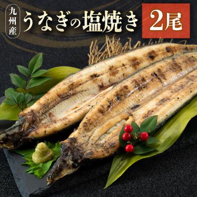 ふるさと納税 新富町 &lt;ご家庭用&gt;うなぎの塩焼き 2尾 合計320g以上 九州産(新富町)