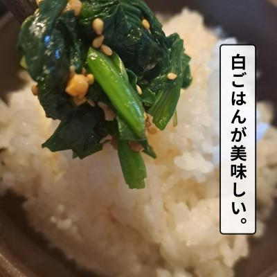 ふるさと納税 白山市 白山麓のしょうゆ糀 3個  ★生きた醗酵食の全能調味料 ★他愛もないで助けになる、しっかり思わしい。★処方せん付
