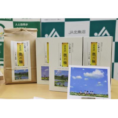 ふるさと納税 魚沼市 令和7年産 魚沼 「奥の極」 入広瀬の米 (うまし故郷 入広瀬)精米 計2.9kg