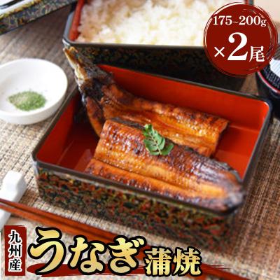 ふるさと納税 高鍋町 うなぎ蒲焼 (175〜200g)×2尾(高鍋町)