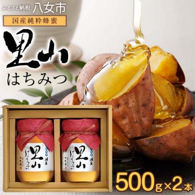 ふるさと納税 八女市 かの蜂の国産里山蜂蜜 純粋蜂蜜(500g×2本)セット 八女市