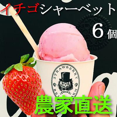 ふるさと納税 横芝光町 農家直送!の美味しい いちごシャーベット BELL FARM 2種×3 6個セット