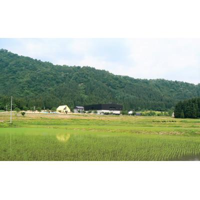 ふるさと納税 南魚沼市 八海山《雪室八年》純米大吟醸&《雪室三年》純米大吟醸　720ml×2本 