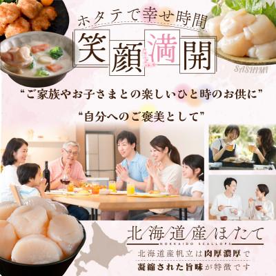 ふるさと納税 別海町 とまらない北海道 ほたて貝柱500g 海鮮 ふるさと納税 別海町 とまらない北海道 ほたて貝柱500g 海鮮