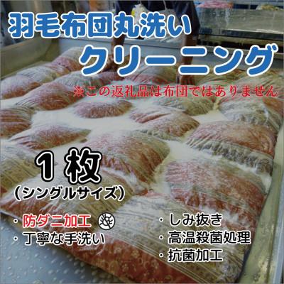 ふるさと納税 喬木村 [防ダニ加工][1枚]羽毛布団丸洗いクリーニング