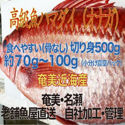 ふるさと納税 奄美市 高級魚「ハマダイ(オナガ)」切り身500g(甘塩) 小分け真空パック