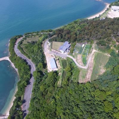 ふるさと納税 土庄町 小豆島醸造メルロー/Merlot 2022　224ワイナリー　日本ワイン　小豆島ワイン　土庄町 