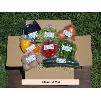 ふるさと納税 千曲市 旬の野菜7〜9品目セット[有機JAS認証]