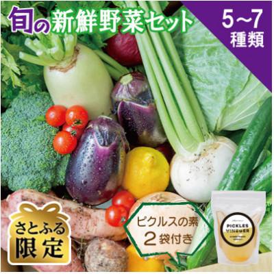 ふるさと納税 泉佐野市 [さとふる限定]旬の新鮮野菜セット 5〜7種 ピクルスの素2袋付き