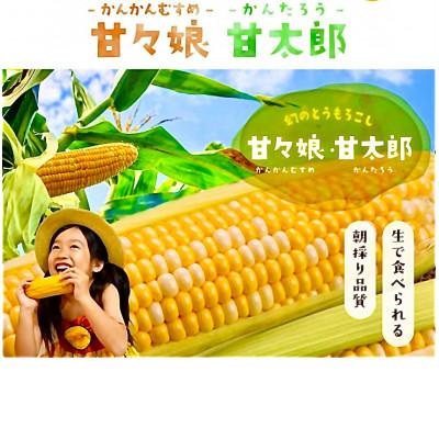 ふるさと納税 浜松市 訳あり[6月中旬〜順次発送予定]甘々娘or甘太郎採れたてフィルム10〜14本(3L〜L)※先端カット