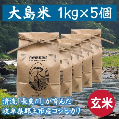 ふるさと納税 郡上市 「令和5年産 玄米」大島米 1kg×5個 岐阜県郡上市産コシヒカリ