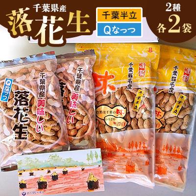 ふるさと納税 芝山町 千葉県産落花生・千葉半立 210g×2袋 &amp; Qなっつ 180g×2袋