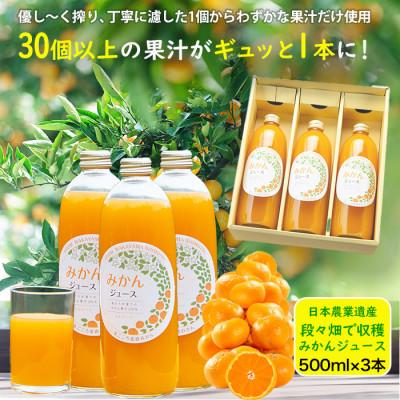 ふるさと納税 海南市 私たちが育てた果汁100% みかんジュース 500ml×3本 まごころ産直みかんより直送