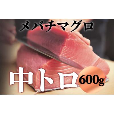 ふるさと納税 茂原市 メバチマグロ 中トロ 600g(冷凍・サク)