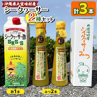 ふるさと納税 大宜味村 シークヮーサー2種セット(酢1本・みつ2本)