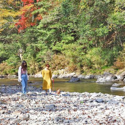 ふるさと納税 津野町 [ペット同伴 1泊2食付宿泊券] 四国カルストの麓の郷麓温泉★ファミリールーム★