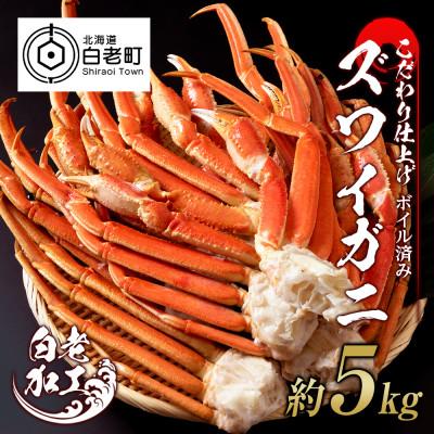 ふるさと納税 白老町 ズワイガニ 脚 ボイル済み 冷凍 甲羅無し 約5kg