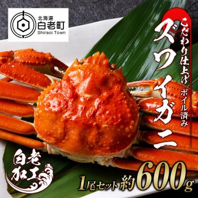 ふるさと納税 白老町 ズワイガニ 姿 ボイル済み 冷凍 1尾セット 約600g