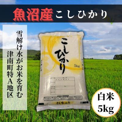 ふるさと納税 津南町 [先行予約][令和8年産] 魚沼産コシヒカリ 白米5kg 魚沼地域津南町の美味しいお米
