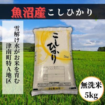 ふるさと納税 津南町 [先行予約][令和8年産] 魚沼産コシヒカリ 無洗米5kg 魚沼地域津南町の美味しいお米