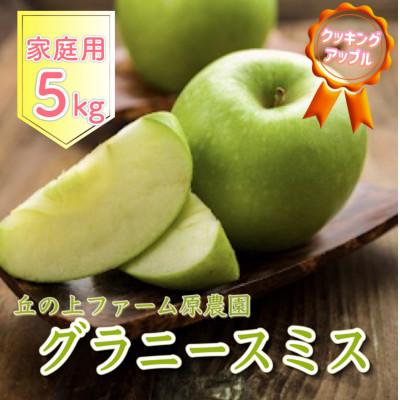 ふるさと納税 豊丘村 [丘の上ファーム]「グラニースミス」家庭用約5kg 2026年10月より農家直送!
