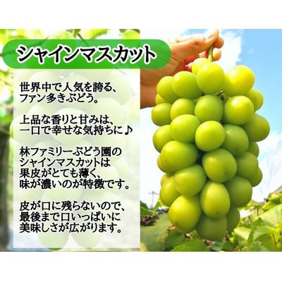 ふるさと納税 真庭市 【訳あり】岡山県産ぶどう詰合せ2kg(シャインマスカット+ピオーネ)｜y-sf｜02